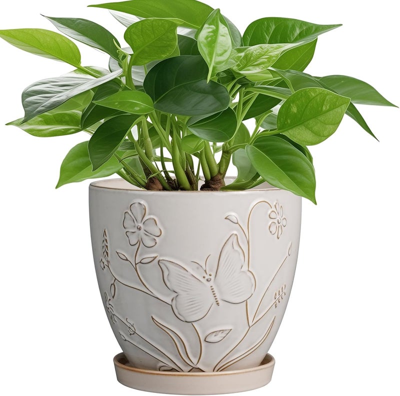 MPotTo Store 6 Inch Ceramic Plant Pot for Indoor Plants Outdoor Round Planter Flower Pot with Drainage Hole and Saucer for Home Garden Office Decor White - Image 1